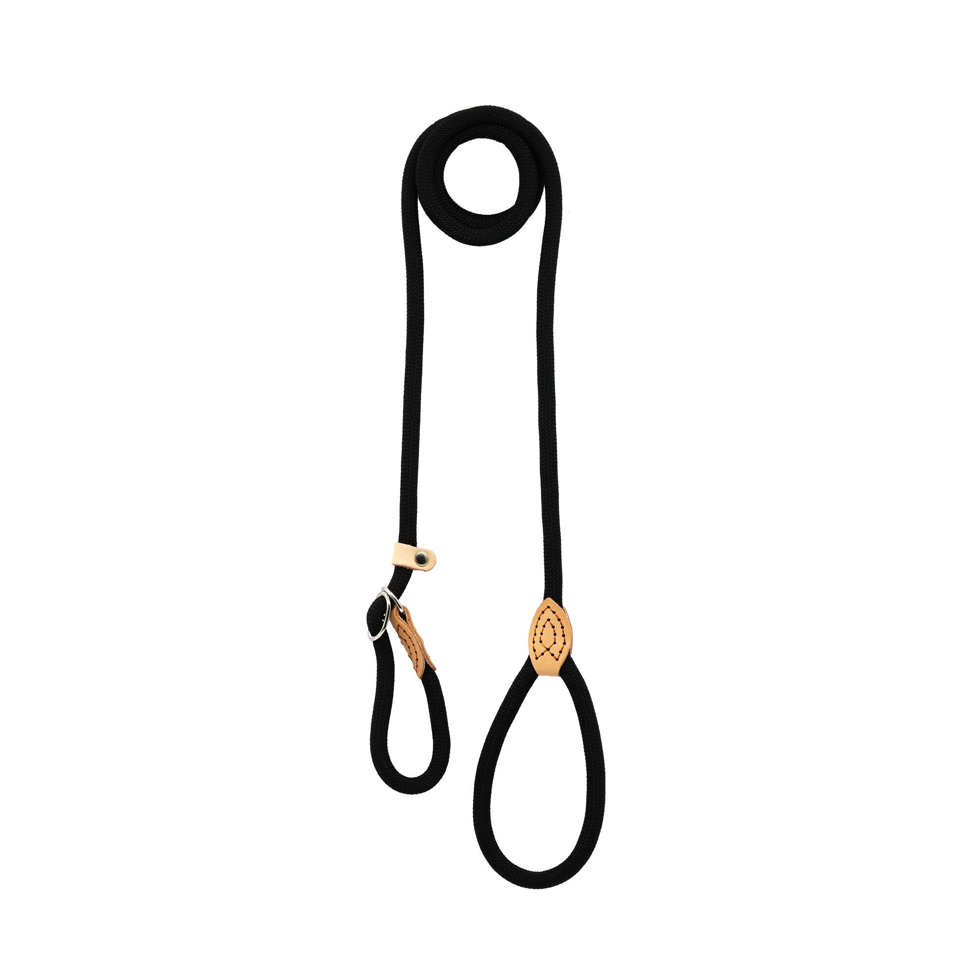 Assorted 5ft. Pet Leash, 1pc. by Fab Finds